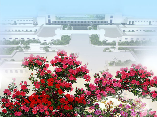 Korea Cosmetics Trading Company